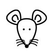 Souris 1