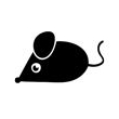 Souris 2