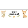 Prénom et court message