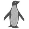 Pinguin