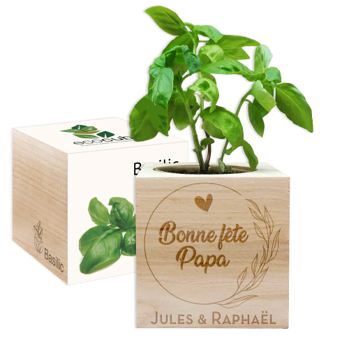 Ecocube Bonne fête papa