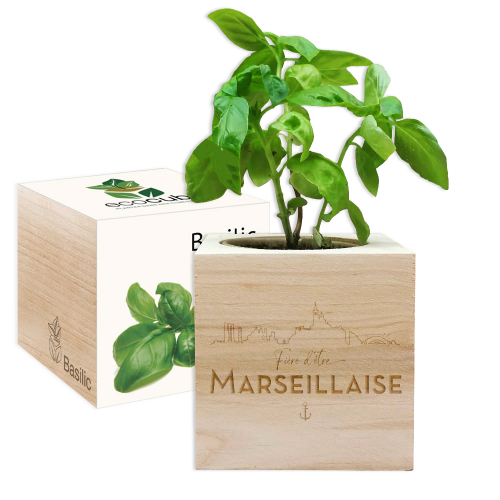 EcoCube en bois Fière d'être Marseillaise