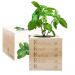 EcoCube en bois Les qualités de maman