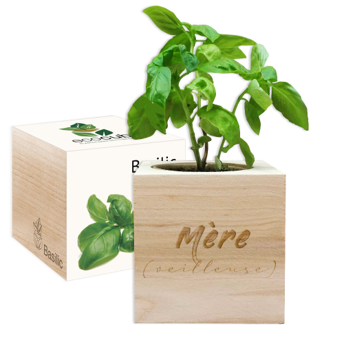 EcoCube Mère (veilleuse)
