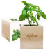 EcoCube Mère (veilleuse)