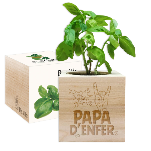 Ecocube Papa d'enfer