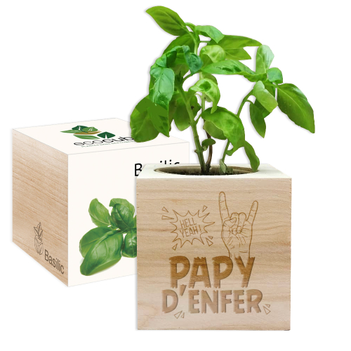 Ecocube papy d'enfer