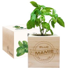EcoCube Mamie de l'année EcoCube Mamie de l'année