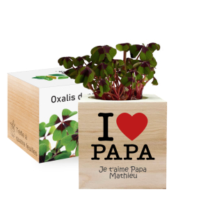 Ecocube en bois imprimé Bonne Fête papa Ecocube en bois imprimé Bonne Fête papa