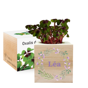 Ecocube en bois imprimé Couronne de fleurs Ecocube en bois imprimé Couronne de fleurs