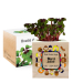 Ecocube en bois imprimé meilleure maîtresse