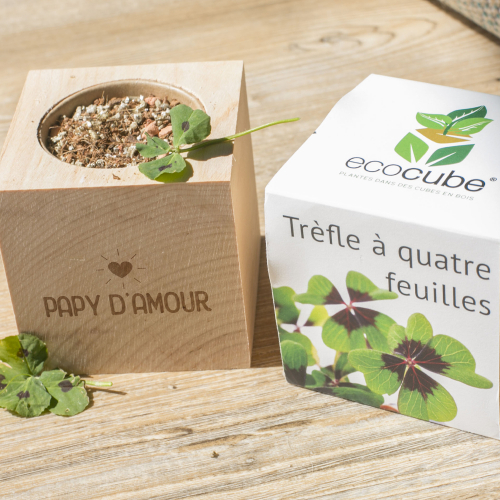 Ecocube Trèfle à 4 feuilles personnalisé pour Papy d'Amour