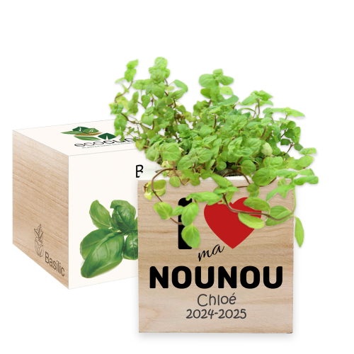 Ecocube en bois imprimé remerciement nounou