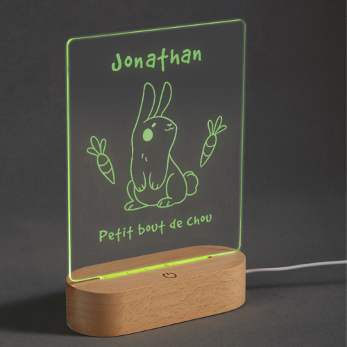 Lampe plexi LED personnalisée motif animaux