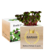 Ecocube en bois imprimé meilleure maîtresse