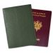 Protège passeport cuir gravé cadre fleurs vert