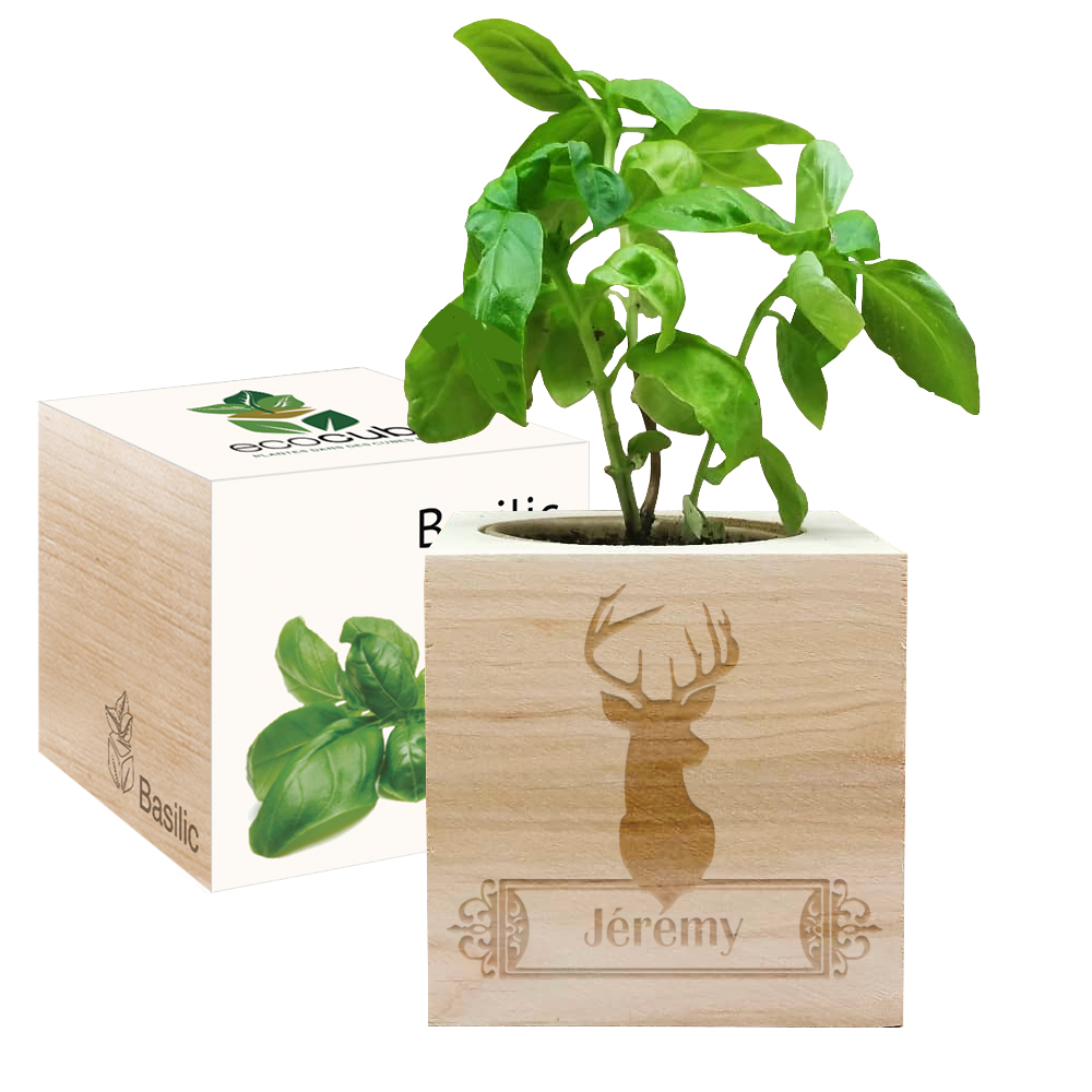 EcoCube Chevreuil gravé