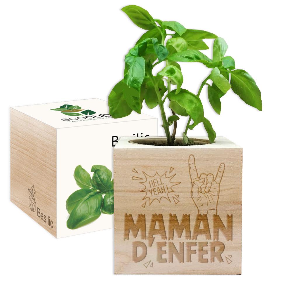 EcoCube Maman d'Enfer