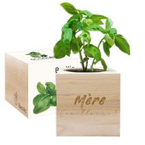 EcoCube Mère (veilleuse)