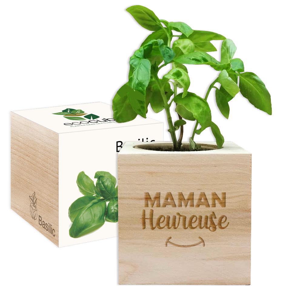 EcoCube Maman heureuse