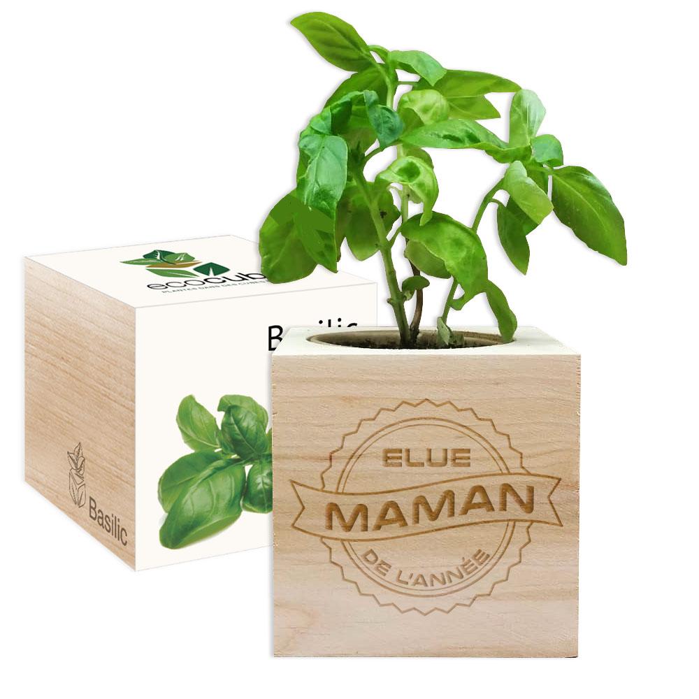 EcoCube Maman de l'année