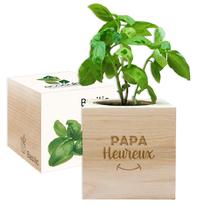 EcoCube Papa Heureux