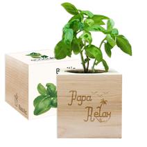 EcoCube Papa Relax
