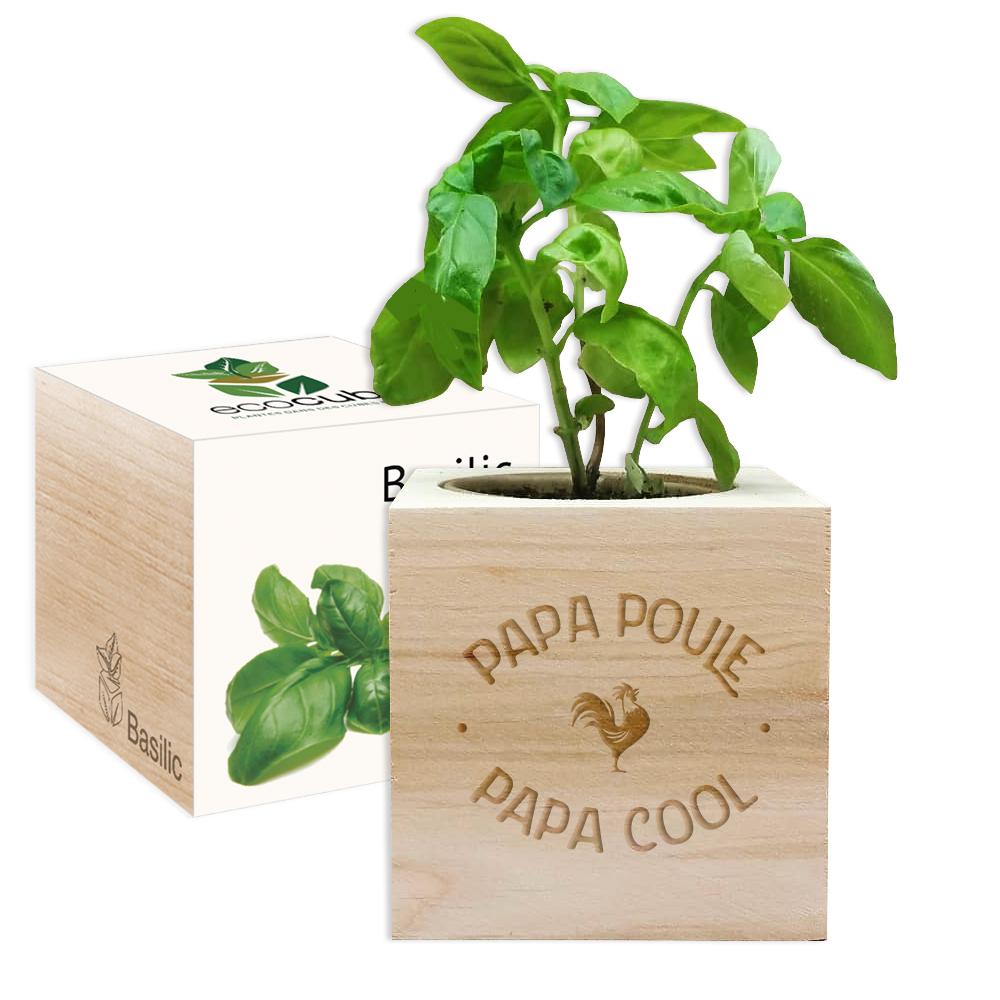 Ecocube Papa poule - cool