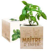 EcoCube Maître d'Enfer