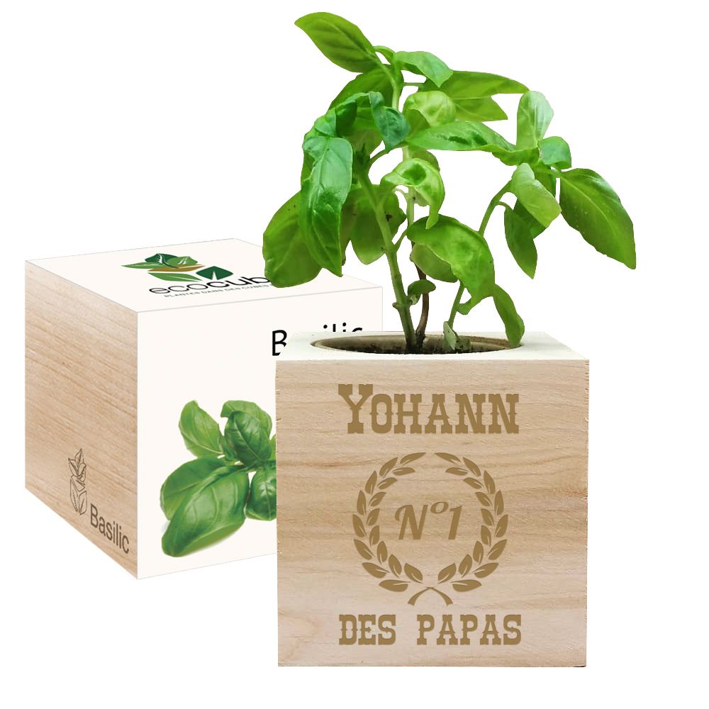 EcoCube gravé Fête des Pères