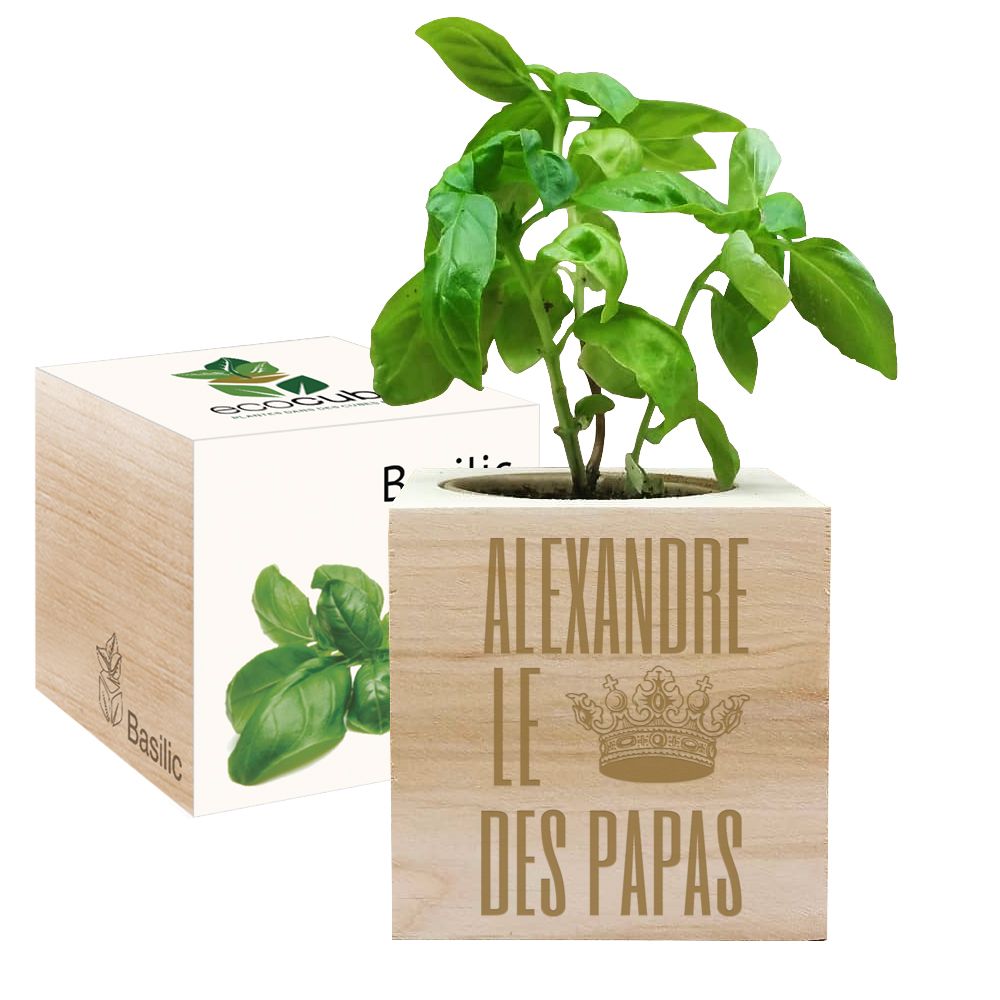 EcoCube gravé Fête des Pères