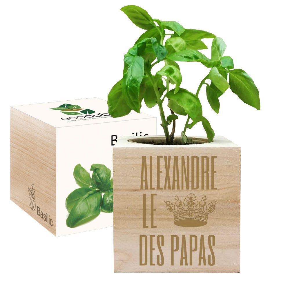 EcoCube gravé Fête des Pères