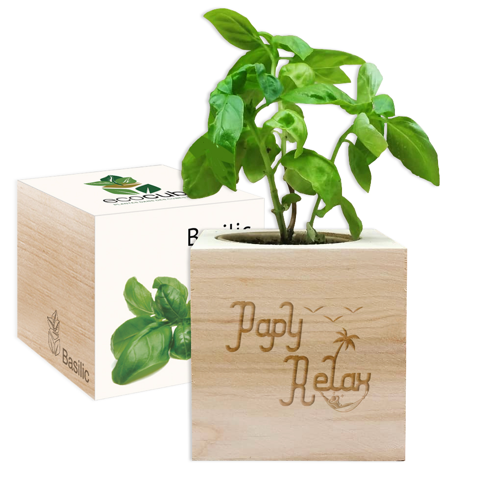 Ecocube papy relax