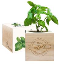 EcoCube Papy de l'année