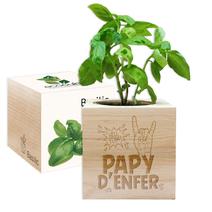 EcoCube Papy d'enfer