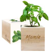 EcoCube Mamie (fique)