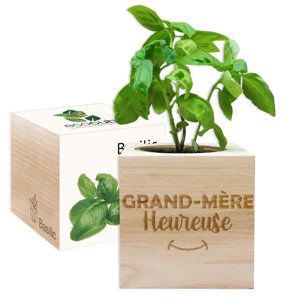 EcoCube Mamie heureuse
