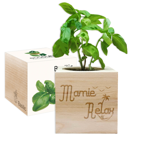 EcoCube Mamie Relax