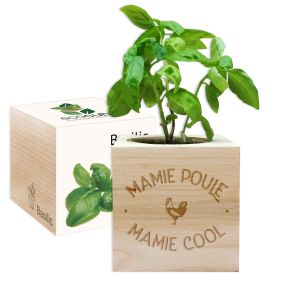 EcoCube Mamie Poule Mamie Cool