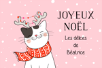 Chat de Noël