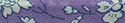 Blanc et mauve