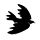 Colombe1